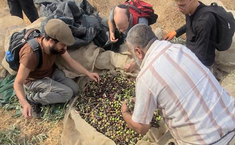 الاحتلال يمنع مزارعين من قطف الزيتون في إذنا
